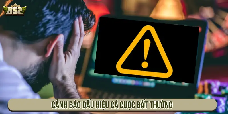 Cảnh báo dấu hiệu cá cược bất thường