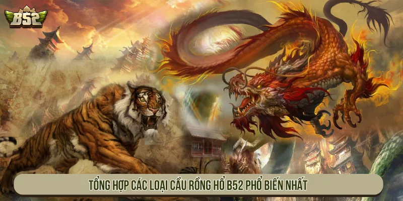 Tổng hợp các loại cầu Rồng Hổ B52 phổ biến nhất